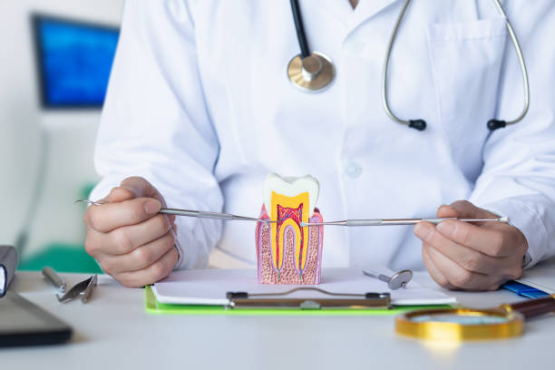 Best Pediatric Emergency Dentist in Rincon, GA